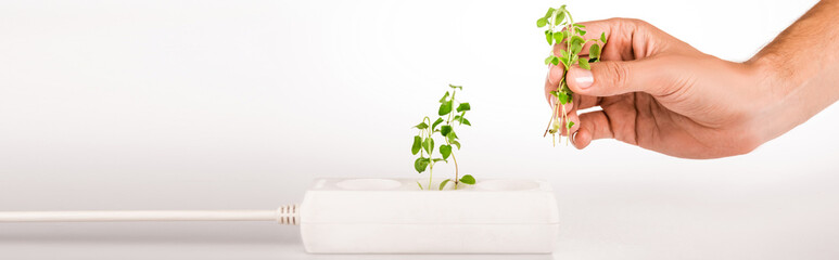 cropped view of man holding green plant near socket in power extender on white background, panoramic shot