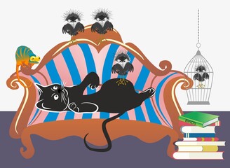 composition with a cat who rests on the sofa with birds and a chameleon around