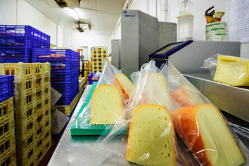 fabricacion industrial de queso - denominacion de origen Mahon-  finca Alcaidus, Alaior, Menorca, Islas Baleares, españa, europa.