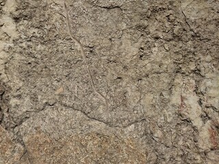 Texture of stone