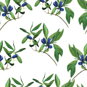 Honeysuckle seamless pattern on white background. Watercolor hand drawn illustration. Perfect for digital paper, print, card, textile, fabric. Loncera edulis or honeysuckle.