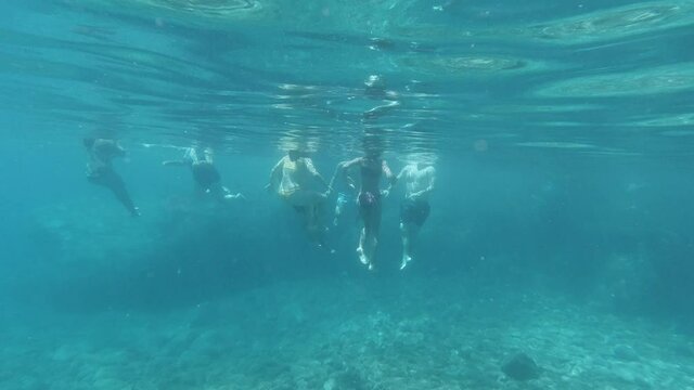 slow motion underwater back view of adult group swimming in ocean