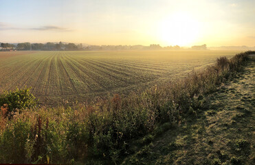 Fototapeta na wymiar Champ brumeux en campagne, brume sur les champs à l'aube.