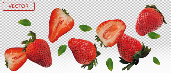 Realistic strawberry on transparent background. Whole strawberries, sliced strawberries with with green leaves. Illustration for your poster, banner, natural product. 3D vector illustration.