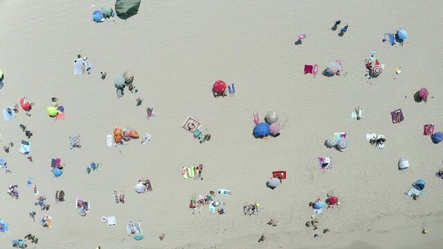 Aerial view, flight at cliff and beach with Hotel, Cala Agulla, Cala Mesquida, Mallorca, Balearic Islands, Spain