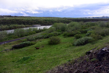 Obraz premium early summer landscape shots of the city