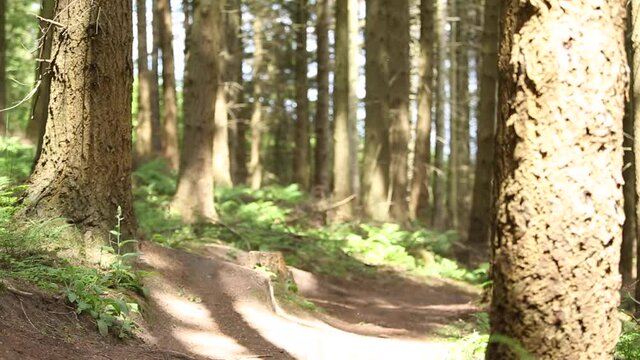 Downhill mountain biker