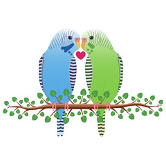 Blue, and green budgerigar couple vector on isolated white background. A design with the concept of love.