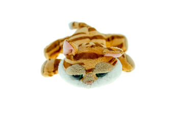 A cute dog doll isolated on a white background