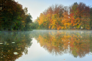 Autumn lake forest reflections landscape in north Poland