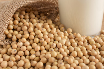Soybeans in sack bags, Soybean and milk background,Agricultural products.