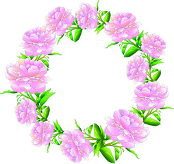 soft pink peonies gathered in a wreath , flower frame, spring design,summer design, happy wedding, memorable date, important event in life