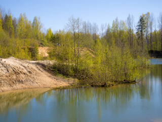 trees with green spring foliage