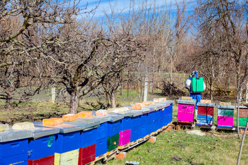 Fototapeta na wymiar Gardener wearing protective overall sprinkles fruit trees with long sprayer, apiary is in the orchard