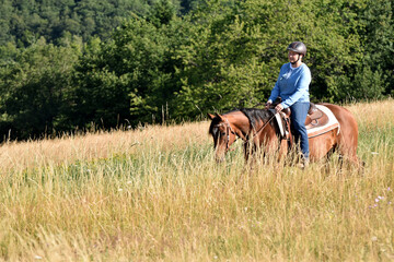Gel&auml;nderitt mit American Quarter Horse