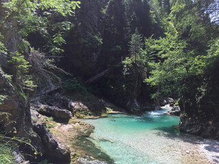 Fototapeta premium a wonderful river in the alps