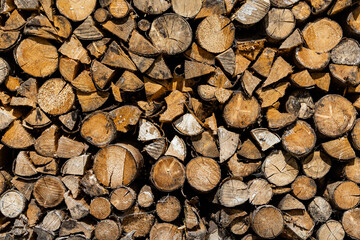 Holz, Brennholz, Baumstamm