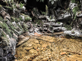 waterfall in the forest