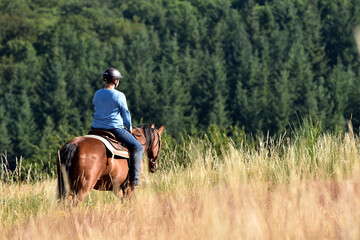 Geländeritt mit American Quarter Horse