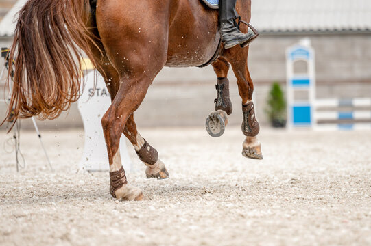 Detail of horse hooves from showjumping competition.