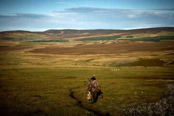 Fototapeta na wymiar A hunter with his trophy after a big hunt in Scotland. Walking in the highlands with a dead deer's head in his hand and a shotgun on his back.