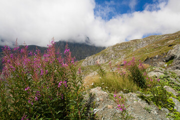 Panorami dipinti dalla natura