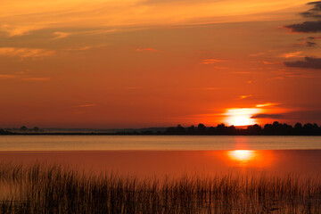 Fototapeta na wymiar Summer lake at dawn, nature background.