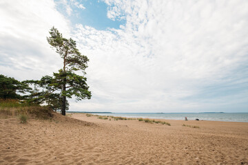 Beautiful sandy beach Yyteri at summer, in Pori, Finland