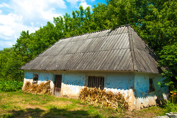 Fototapeta na wymiar dilapidated hut. old house in front of trees