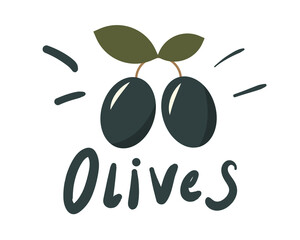olive branch vector illustration