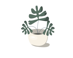green plant in a pot