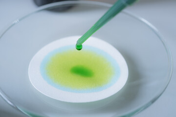 The scientist is testing the natural product extraction and green color solution, in the chemistry laboratory.