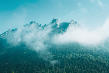 Mountain landscape with forest and fog. Three Crowns peak, Poland.