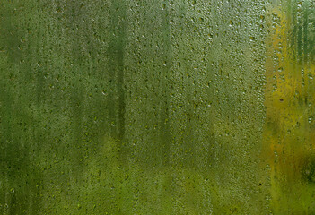 Condensation droplets in a window