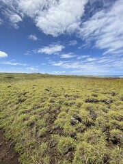 Prairie à l'île de Pâques