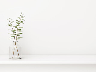 Interior wall mockup with green eucalyptus branch in bottle standing on the shelf on empty white background with free space. 3D rendering, illustration. © marina_dikh