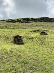 Tête de moaï sur la pente du volcan Rano Raraku à l'île de Pâques