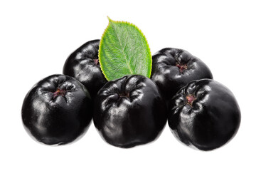 Chokeberry with green leaves isolated on white background. Clipping path and full depth of field