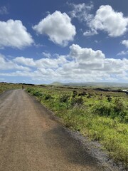 Fototapeta na wymiar Route de l'île de Pâques