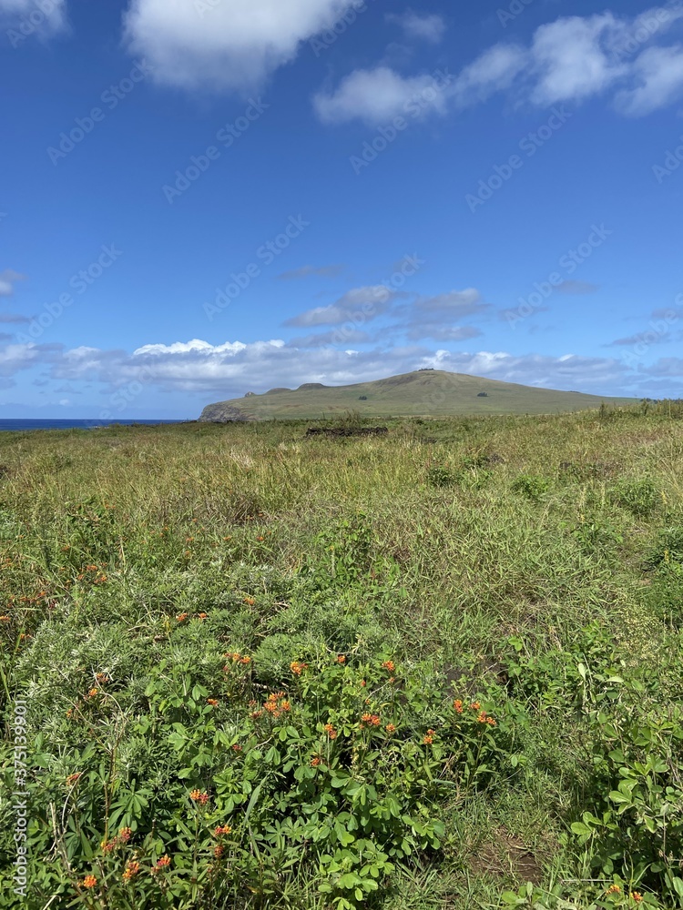 Poster Prairie et volcan Poike à l'île de Pâques