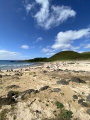 Plage d'Anakena à l'île de Pâques	