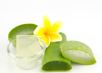 aloe vera leaves, cut into pieces, the shell casing and the meat is placed in a clear glass cup and a yellow frangipani laid all this rests on a white background.