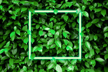 Green glowing frame on green leaf