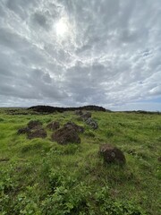 Prairie à l'île de Pâques