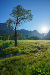 Obraz premium yosemite falls from yosemite valley, california, usa