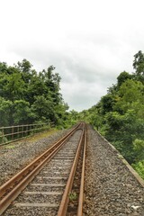 Fototapeta premium railway in the forest