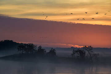 Sunrise on Yellow River in Kakadu national park © Tomasz Kaminski