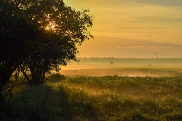 Mist over meadows of Yellow River in Kakadu National Park, Australia © Tomasz Kaminski
