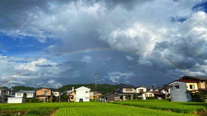 夏の雨後の田舎の水田と住宅地と空の虹の風景