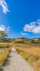 兵庫県 神崎郡 砥峰高原